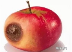 坏苹果,把坏的部分去掉后能吃吗?，苹果12promax未知部件能消除吗？