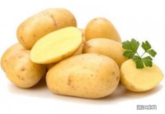 土豆皮能吃吗 吃土豆皮会中毒吗