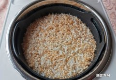 糙米饭怎么蒸好吃