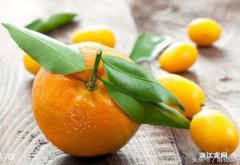 新鲜橘子能放多久