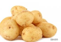 吃土豆的养生作用是什么 土豆和什么不能一起吃