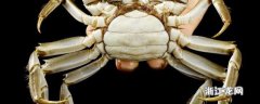 半斤螃蟹蒸多长时间最好吃 半斤螃蟹蒸多久能吃