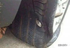 车轮胎扎了个钉子补一下大概多少钱