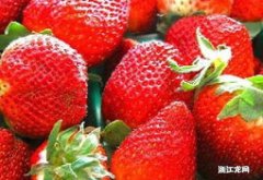 牛奶草莓和普通草莓区别