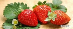 草莓上的小麻点是什么