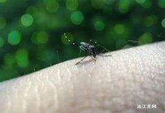 蚊子咬了怎么消肿止痒最快？