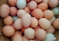 怎样鉴别土鸡蛋 土鸡蛋有什么主要特征