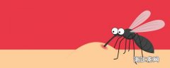 驱蚊子最有效的东西 怎么驱蚊子有效呢