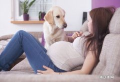 养宠物对怀孕有影响吗 怀孕了可以养宠物狗吗
