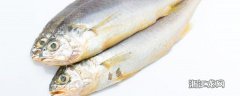 冰冻黄鱼怎么做好吃 做出新鲜味的冰冻黄鱼家常做法