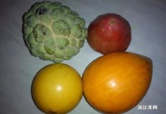 五角水果是什么桃